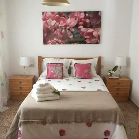 Playa San Marcos Apartmán *