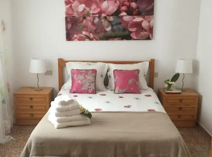 Playa San Marcos Daire *